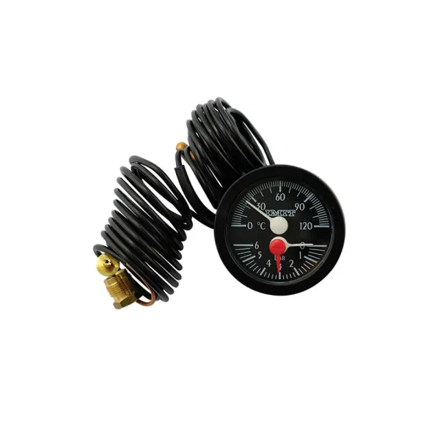 IMIT Termomanometro a Capillare 0-120°C 0-6 bar